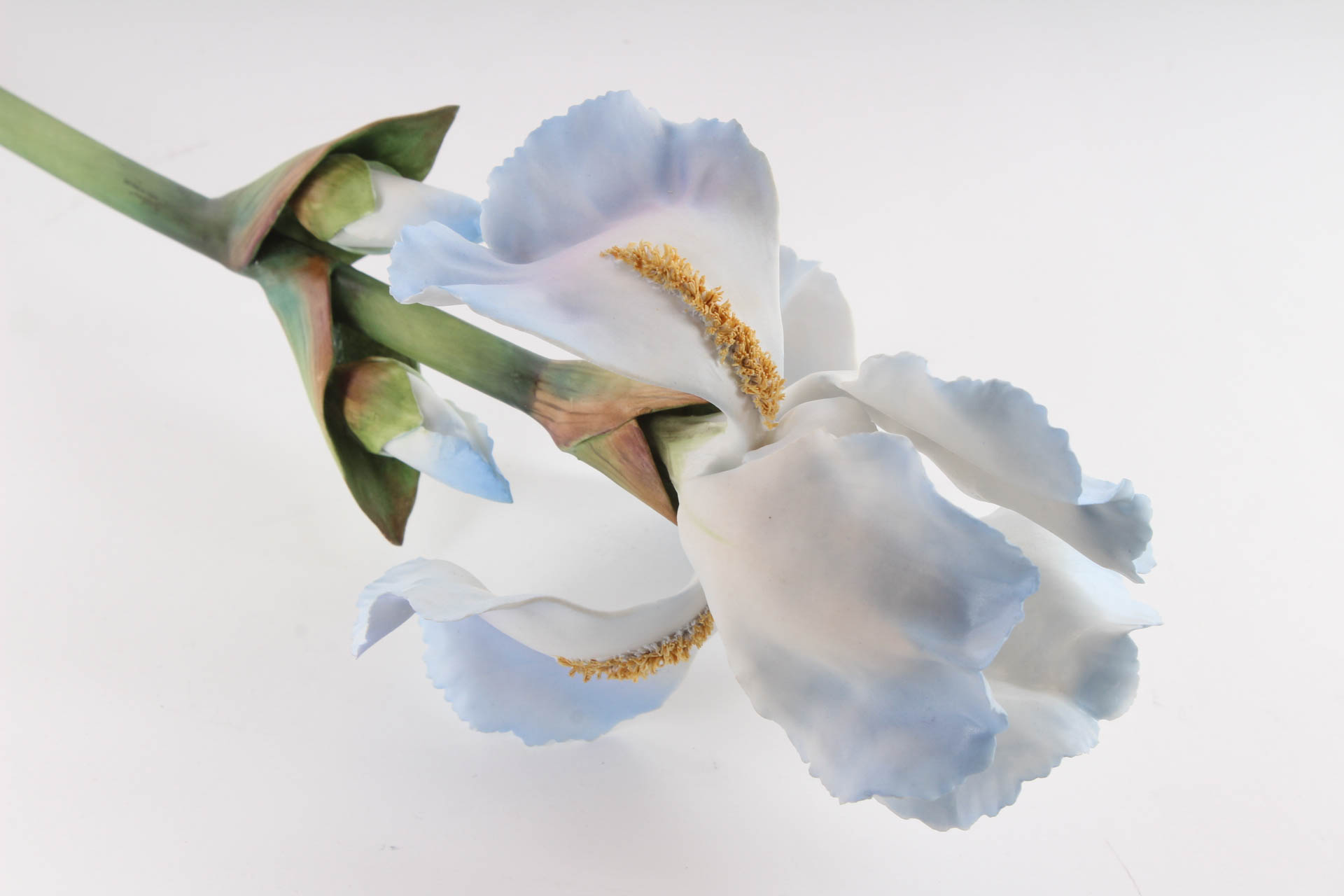 Boehm Porcelain Blue Iris Stem