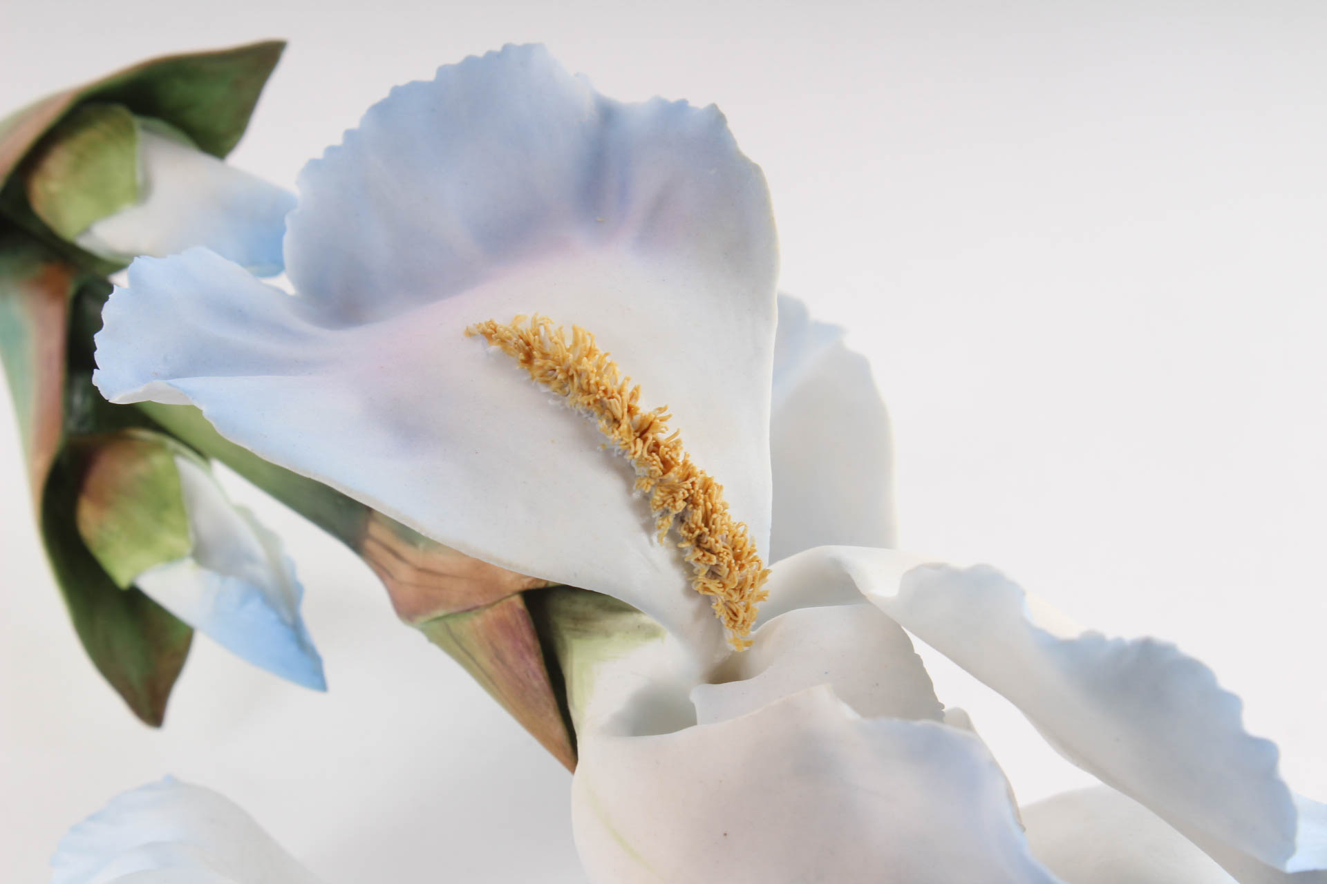 Boehm Porcelain Blue Iris Stem