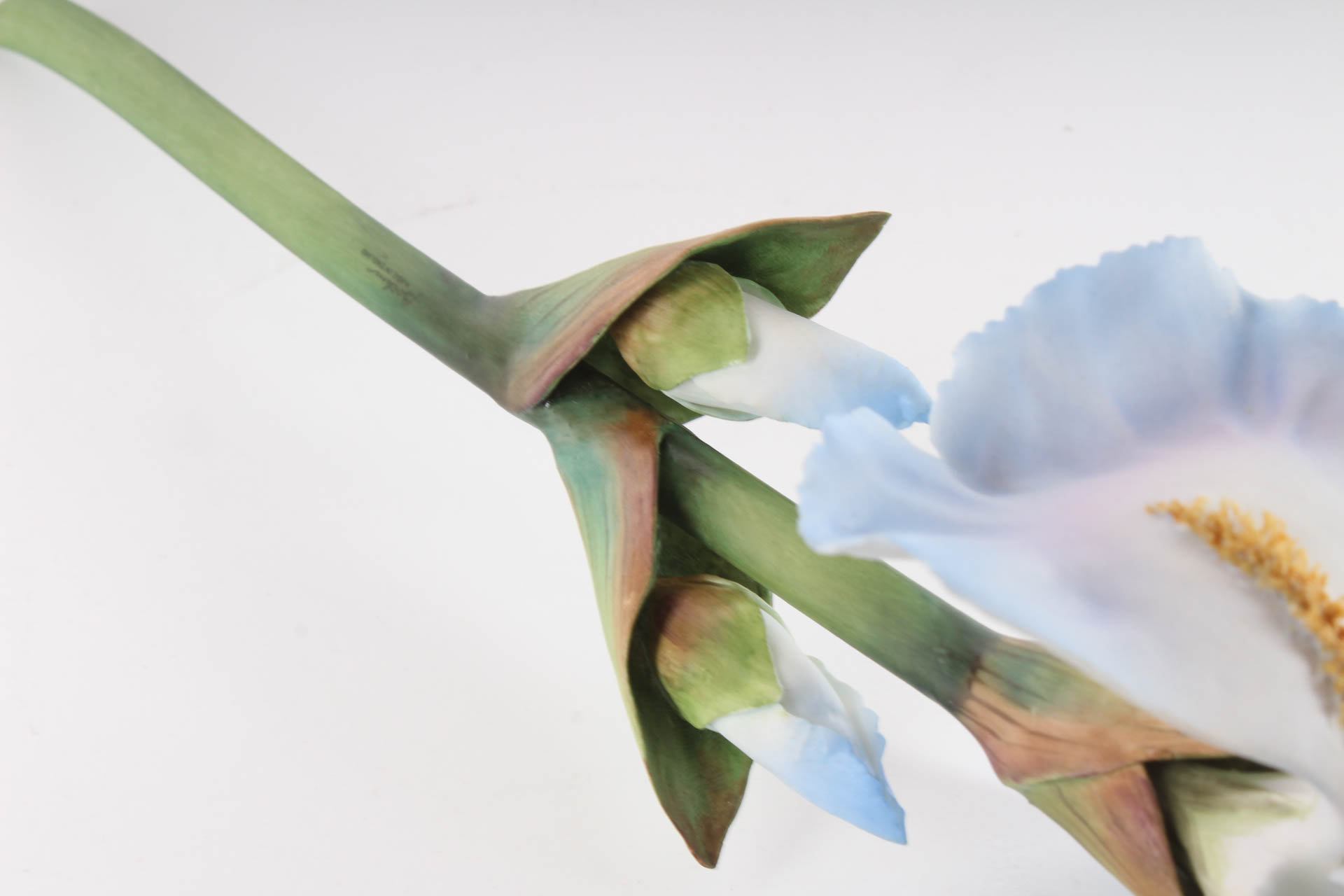 Boehm Porcelain Blue Iris Stem
