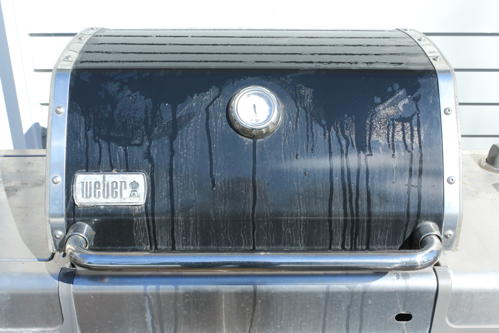 Weber "Genesis" Gas Grill with Cover