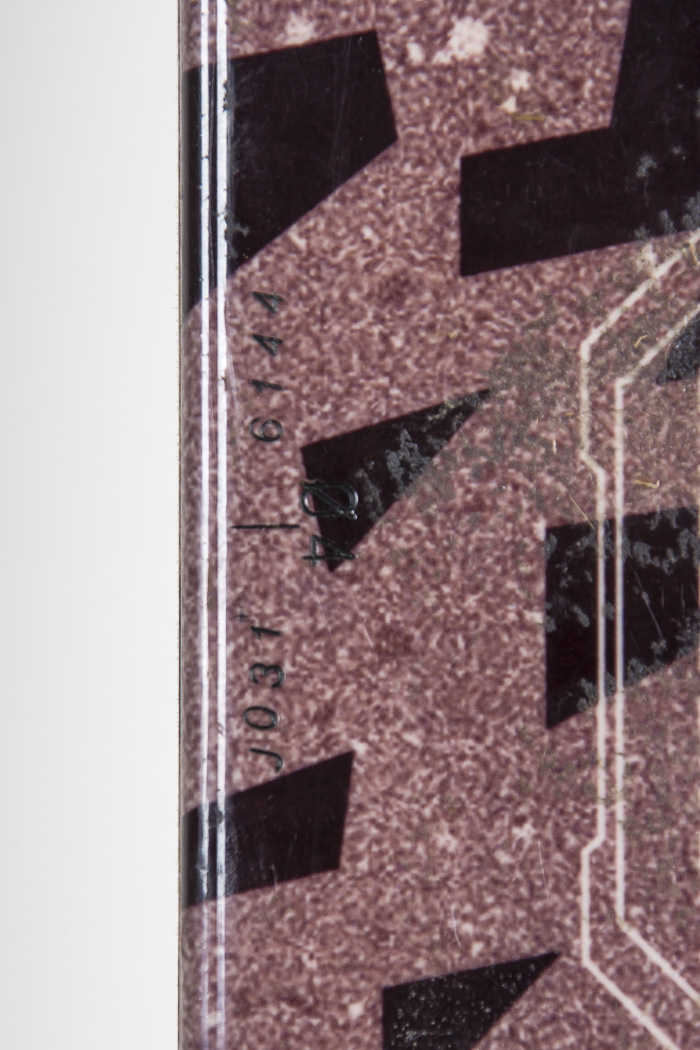 Group of Salomon Skis