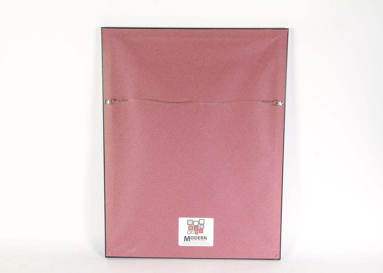 Shepard Fairey Limited Edition Serigraph "Not One More"