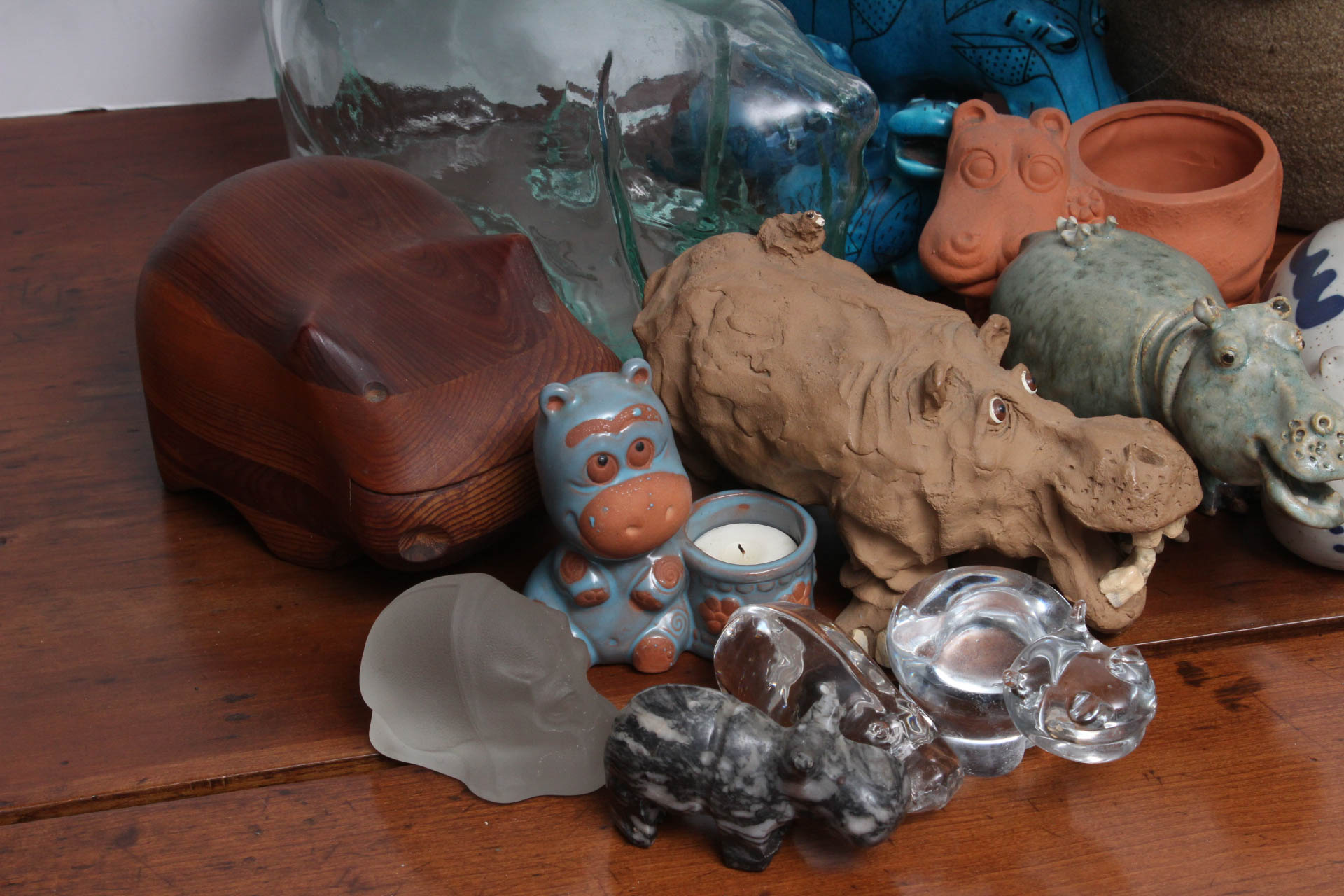 Herd of Hippopotamuses