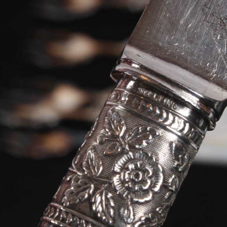 Landers, Frary, & Clark Sterling and Mother of Pearl Flatware