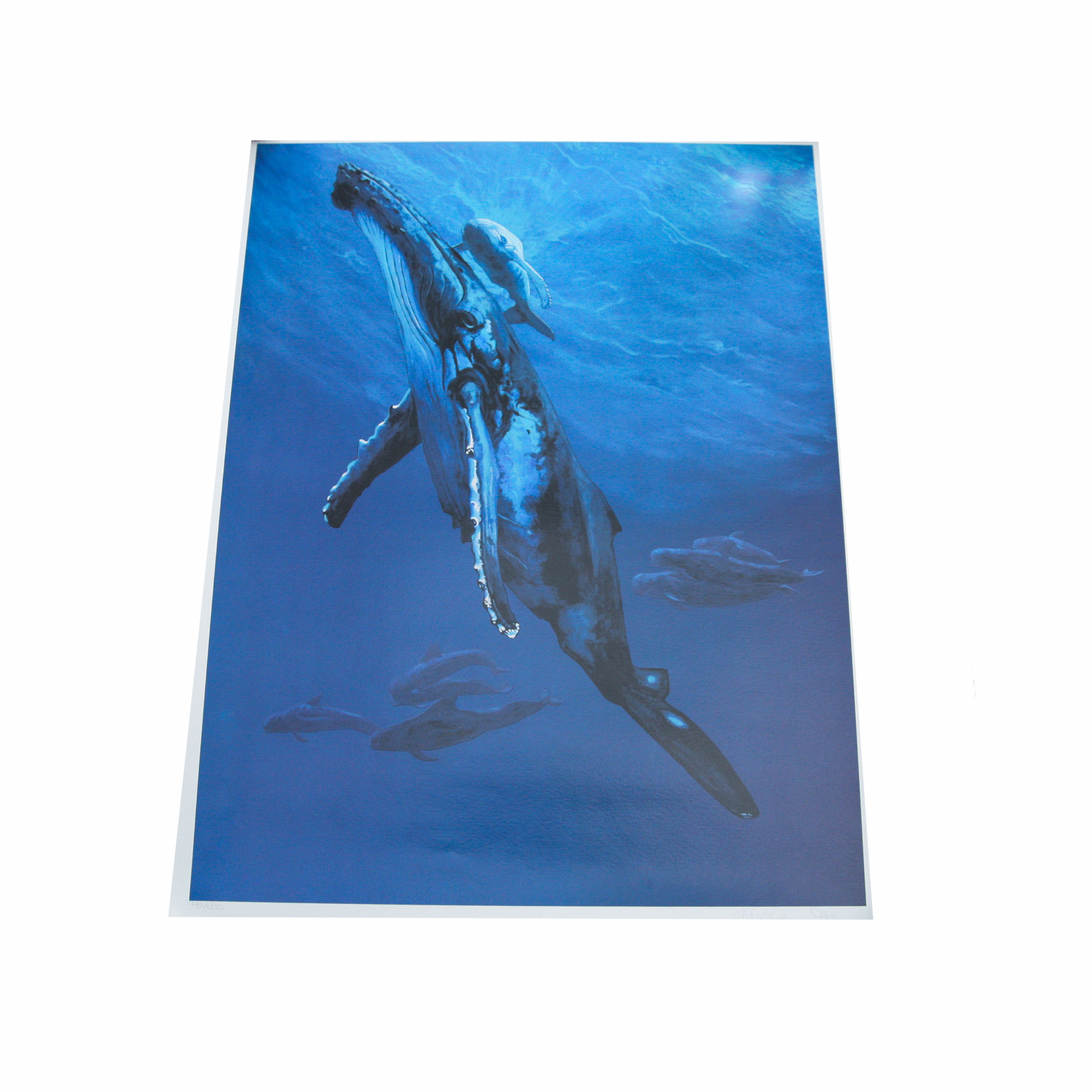 Signed Seriolithograph by Nicole Stahl