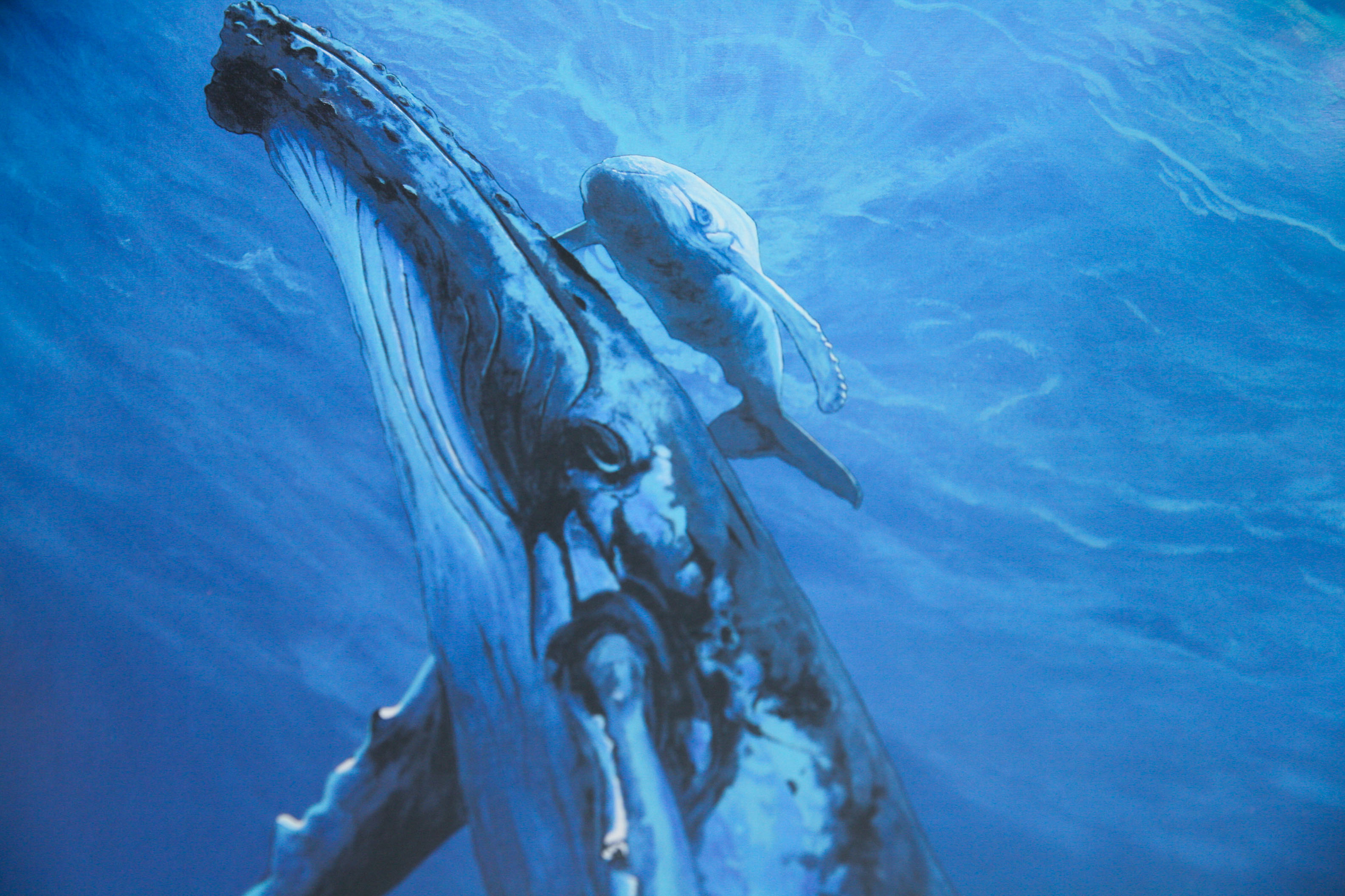 Signed Seriolithograph by Nicole Stahl