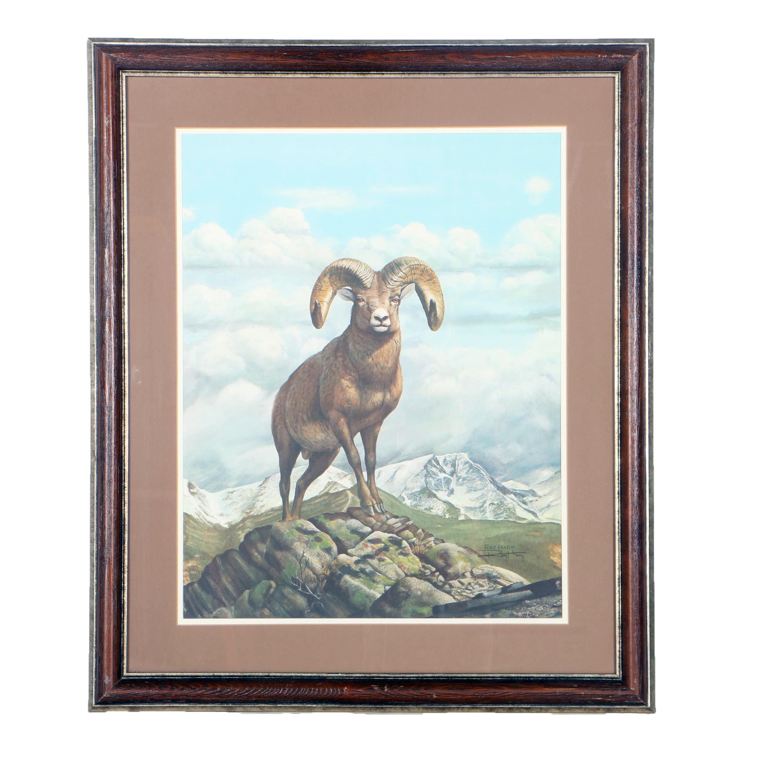 Ray Harm Reproduction Offset Lithograph "Rocky Mountain Bighorn Sheep"