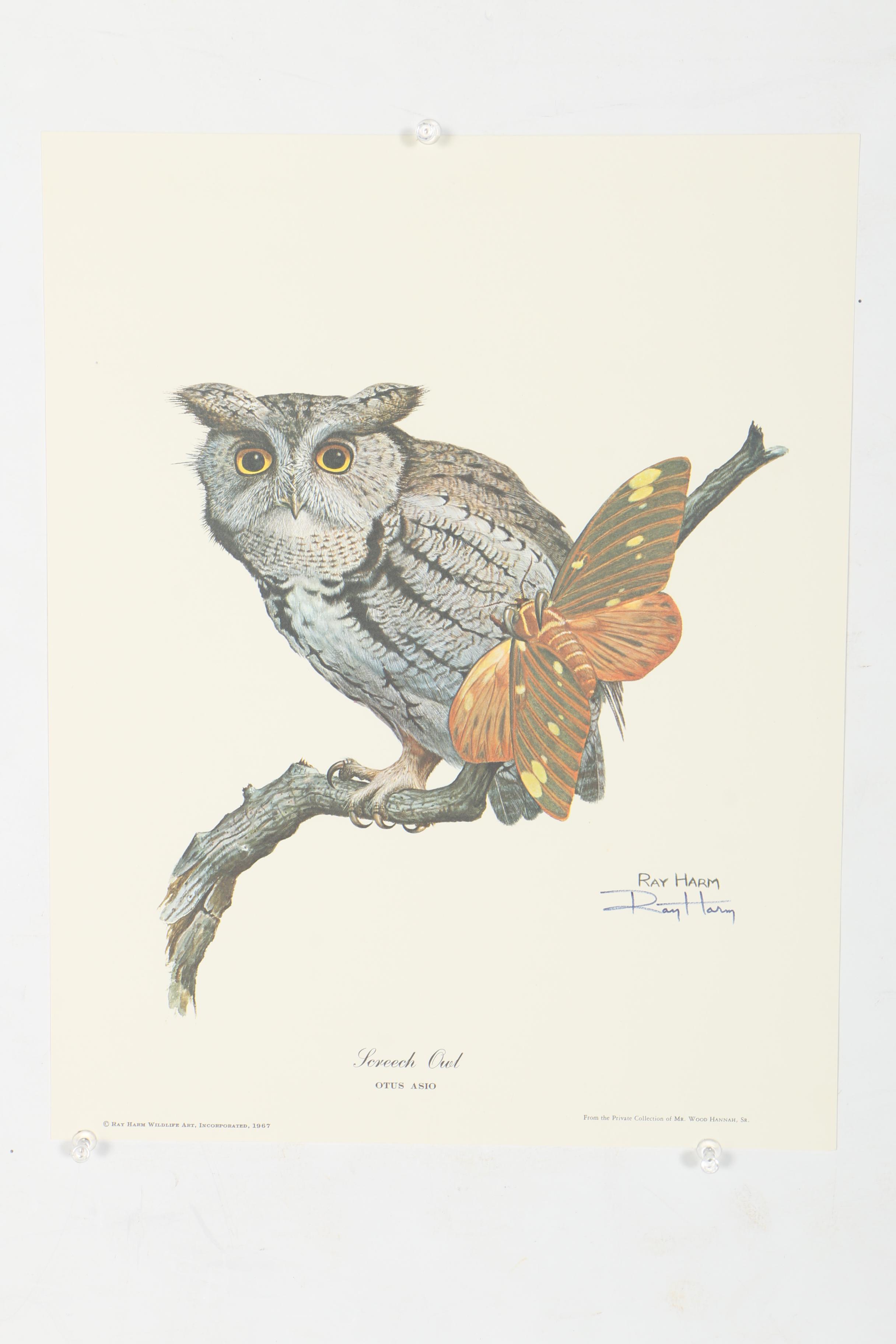 After Ray Harm Offset Lithograph Collection