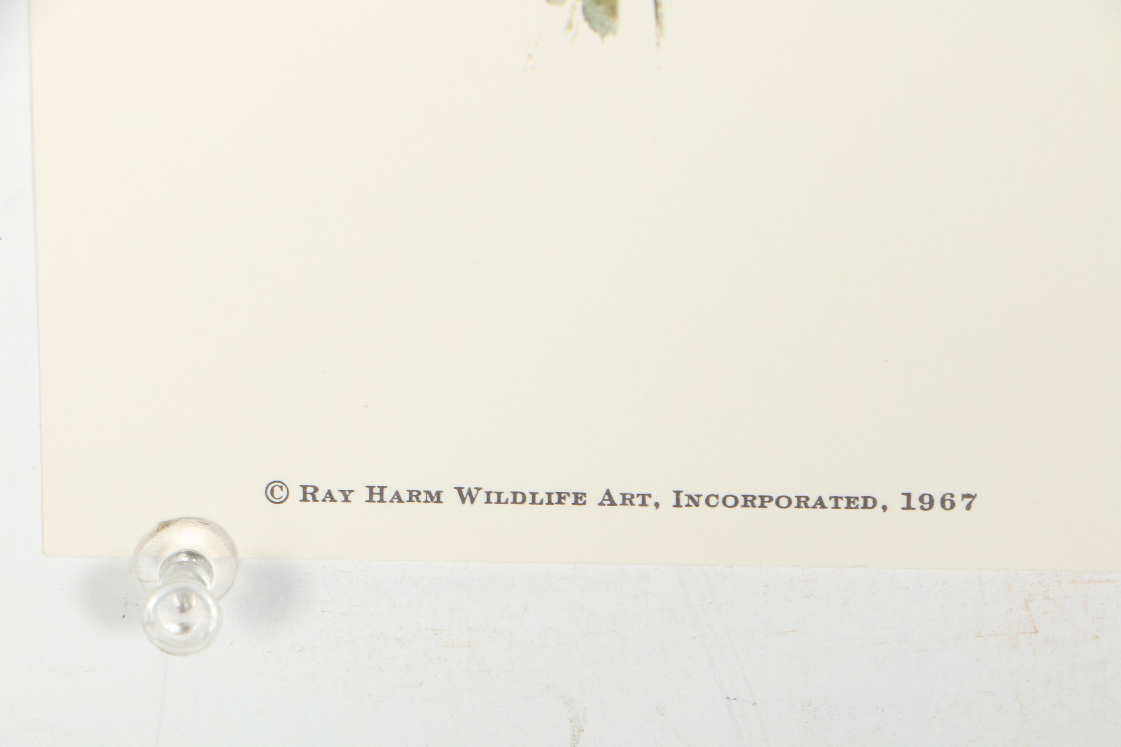 After Ray Harm Offset Lithograph Collection