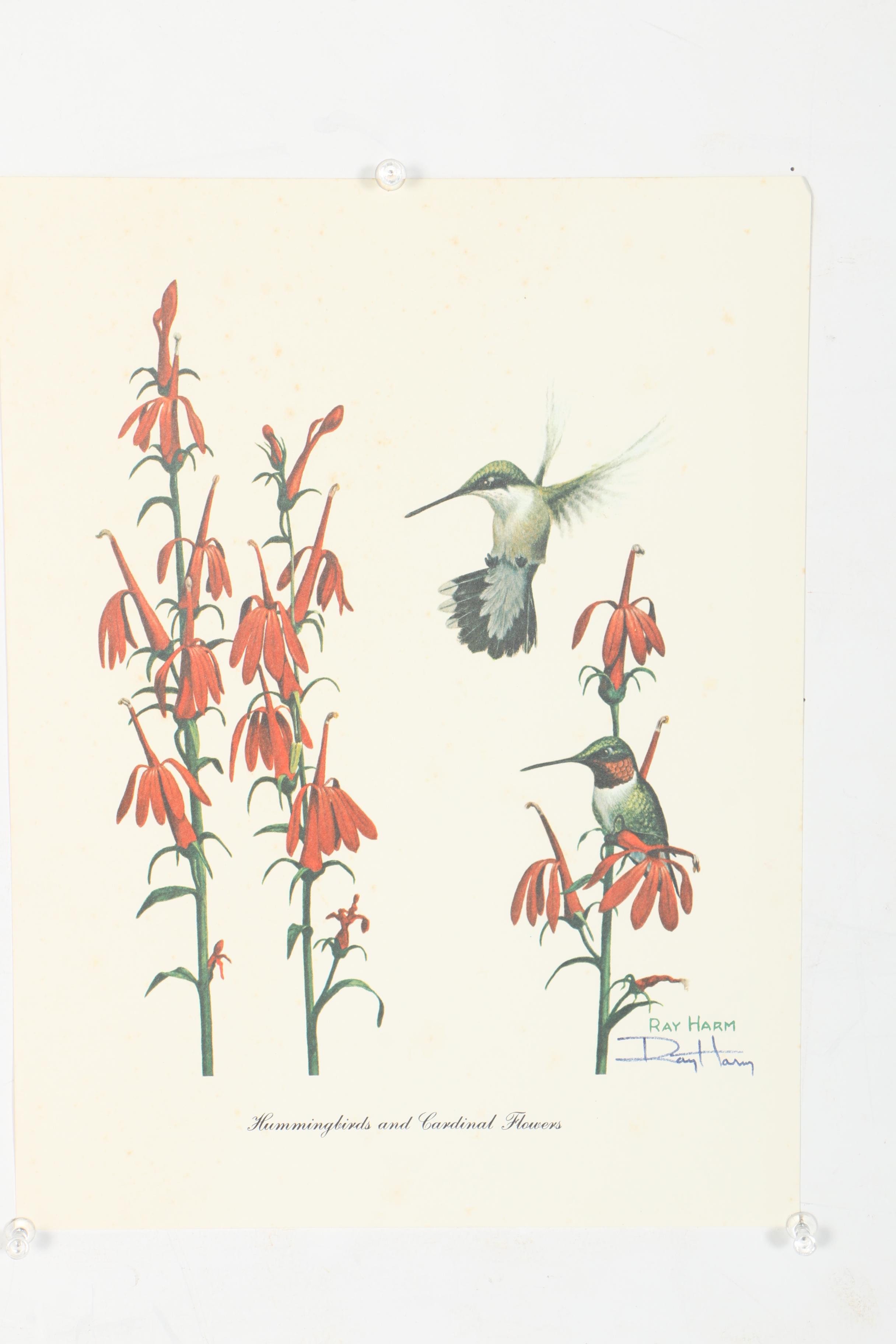 After Ray Harm Offset Lithograph Collection