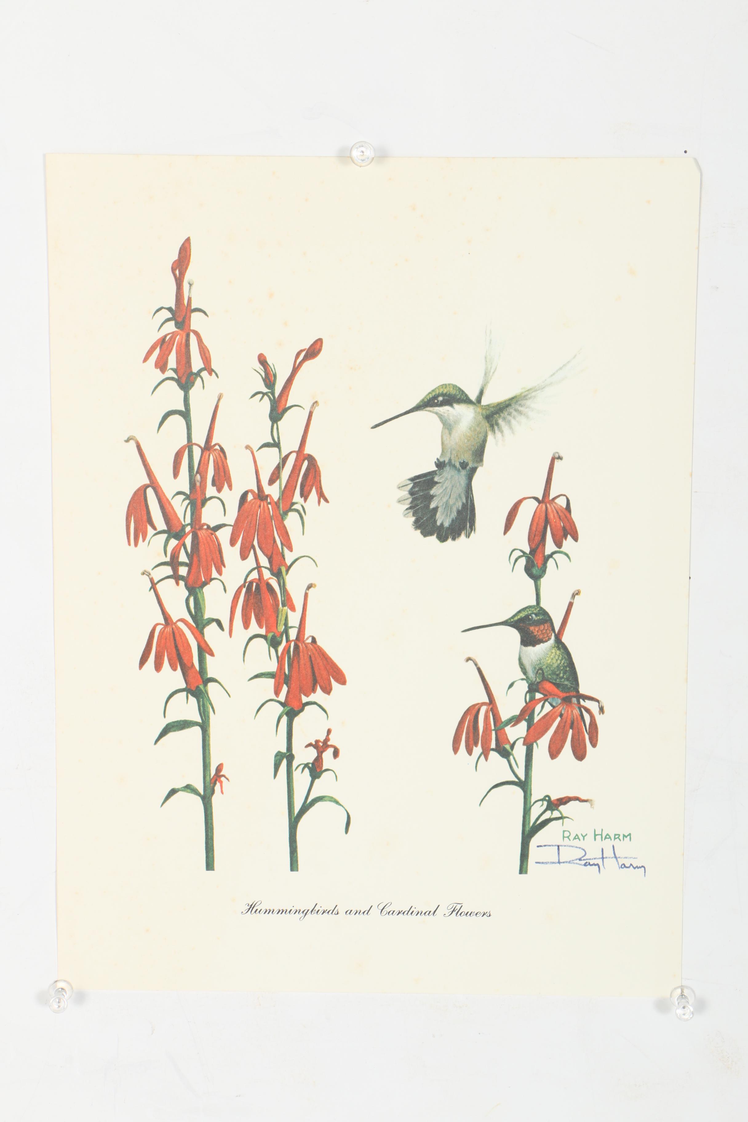 After Ray Harm Offset Lithograph Collection