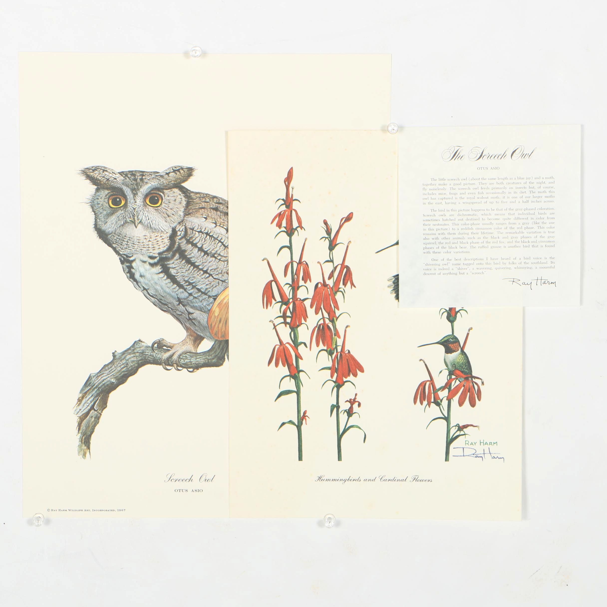 After Ray Harm Offset Lithograph Collection
