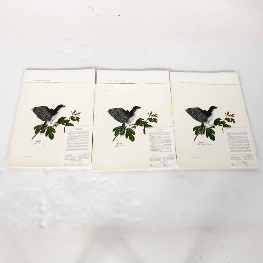 Charles Crume, Jr. Limited Edition Offset Lithographs of Eastern Kingbirds