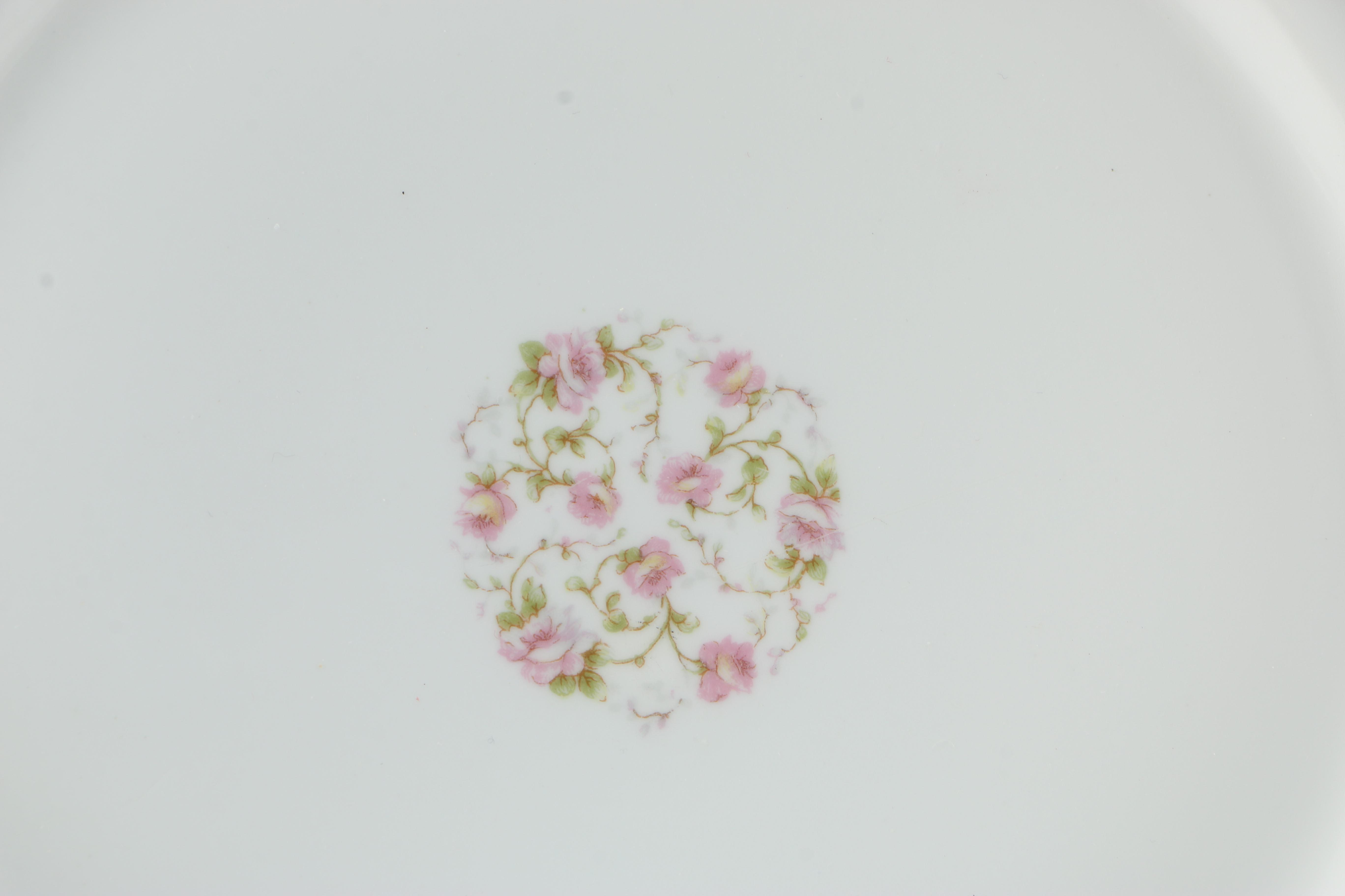 Haviland Limoges China Tableware Set