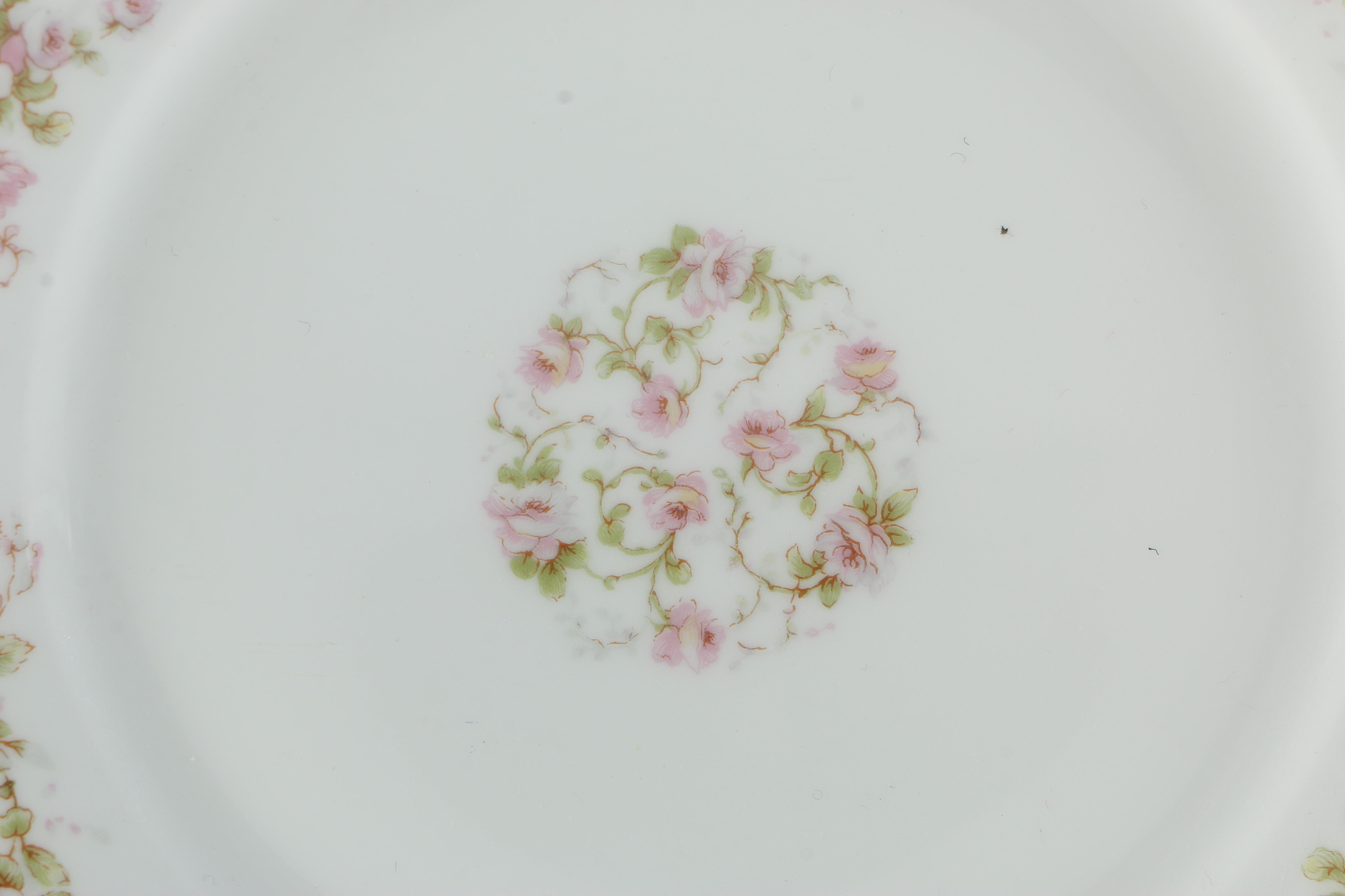 Haviland Limoges China Tableware Set