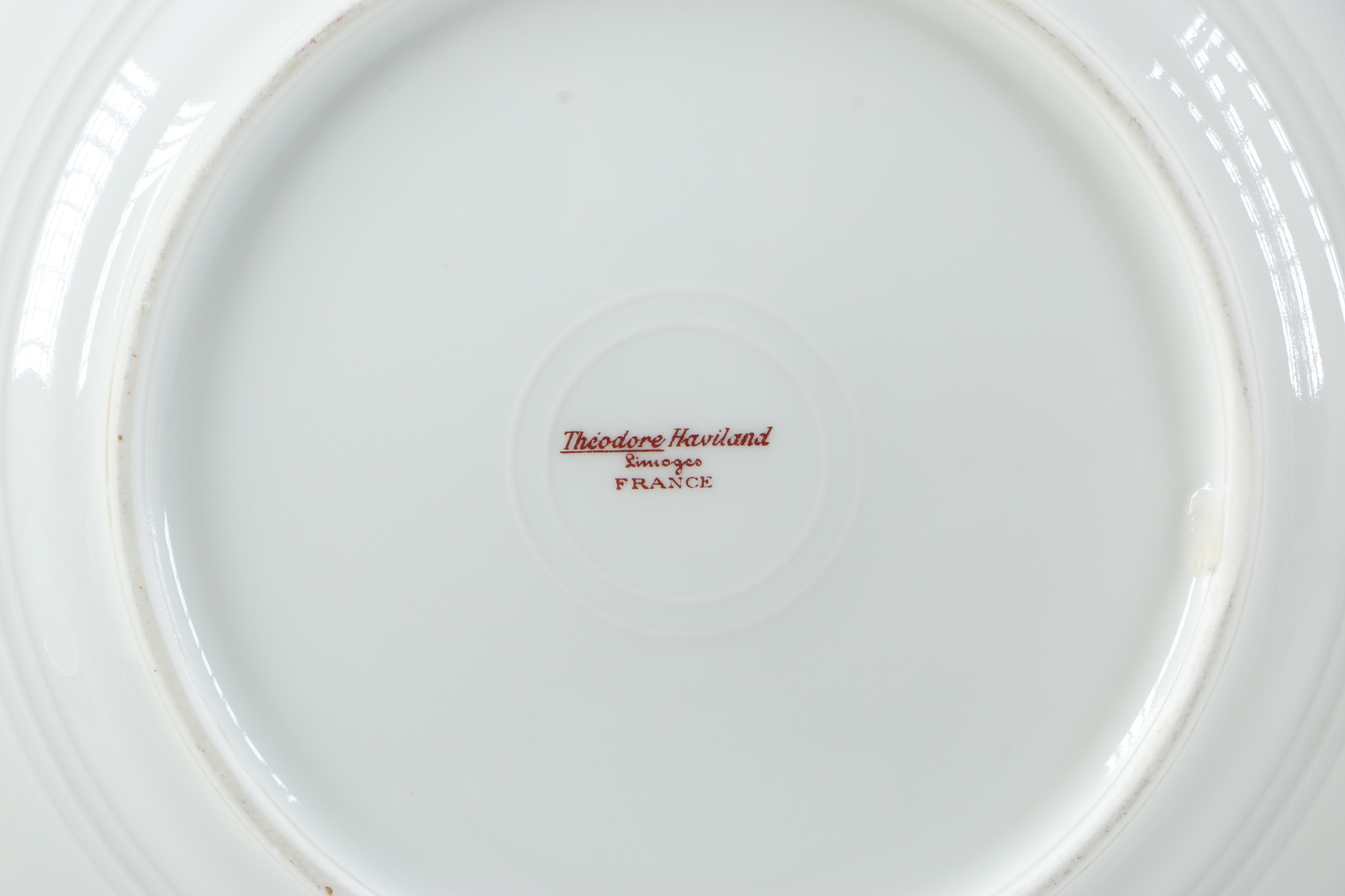 Haviland Limoges China Tableware Set