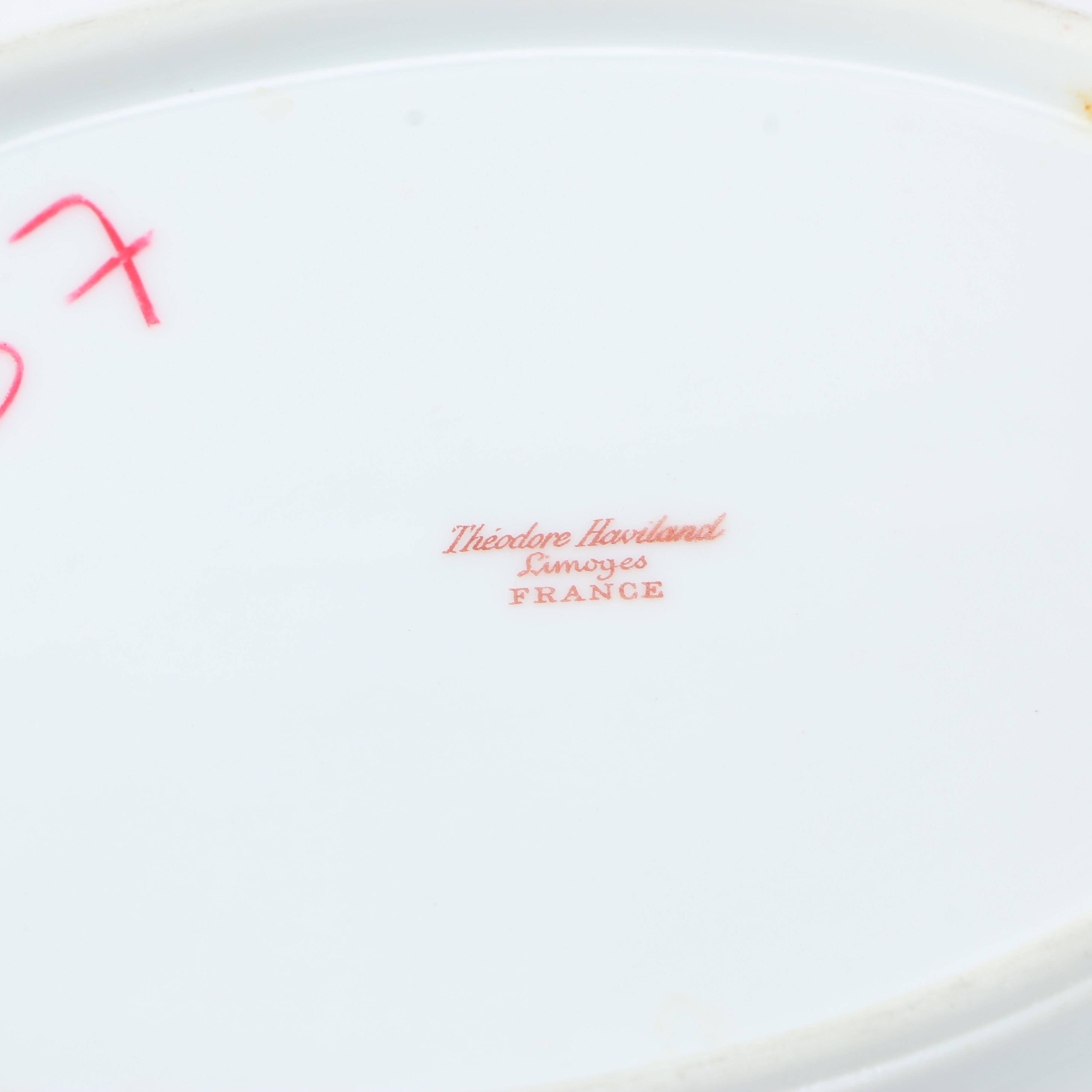 Haviland Limoges China Tableware Set