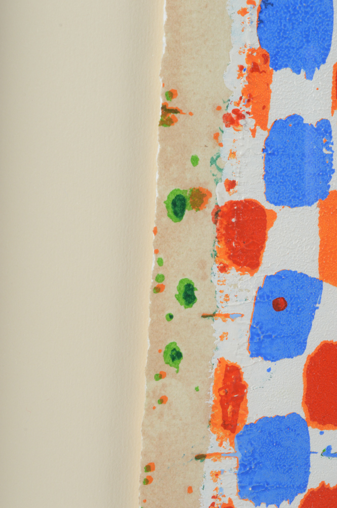 Joe Tilson Artist Proof Screenprint with Woodblock  "Conjunction, Swallowtail, Sesso "