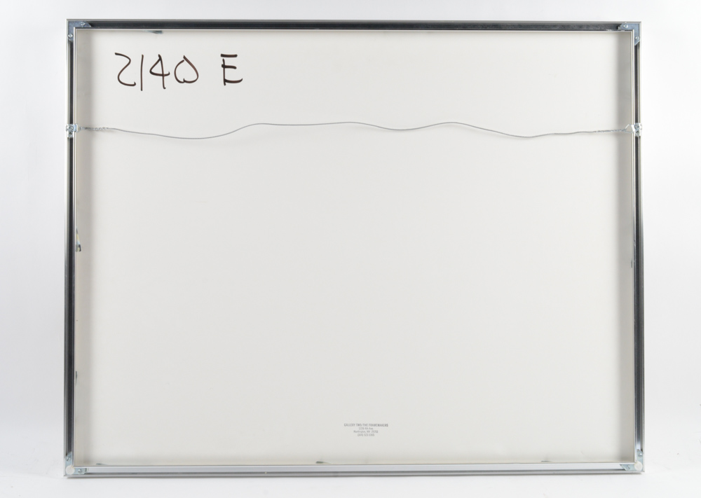 Joe Tilson Artist Proof Screenprint with Woodblock  "Conjunction, Swallowtail, Sesso "