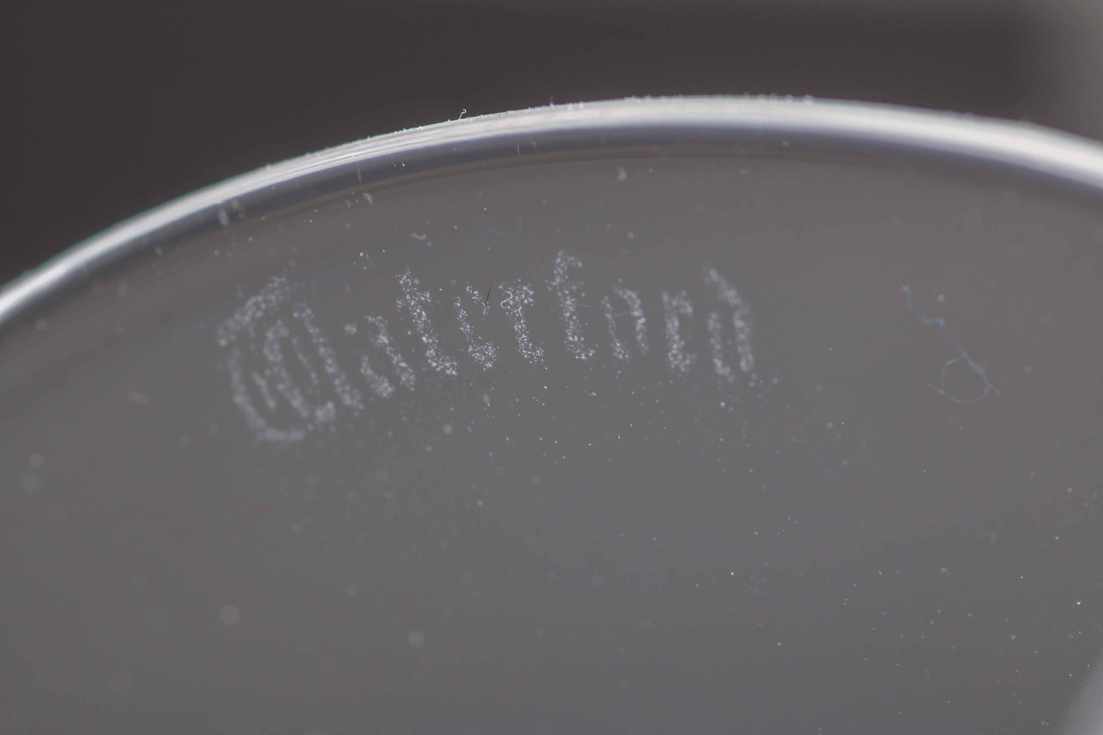 Collection of Waterford "Sheila" Crystal Stemware