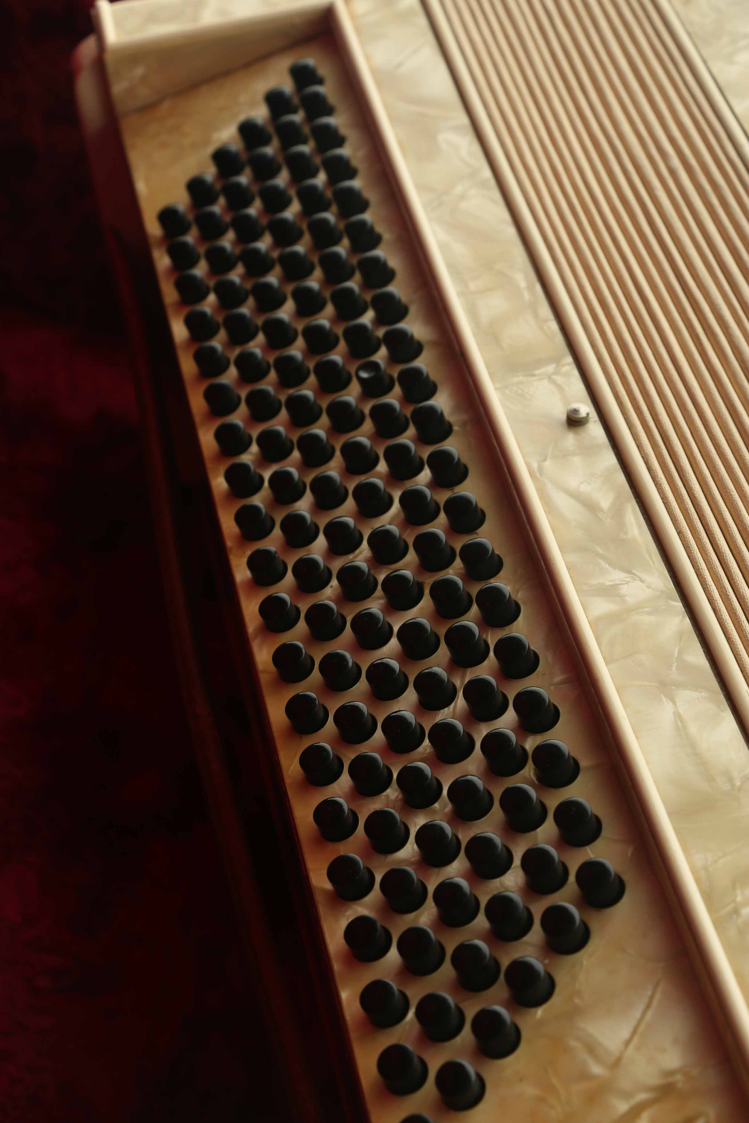 Vintage Giuseppe Venuti Accordion and Case