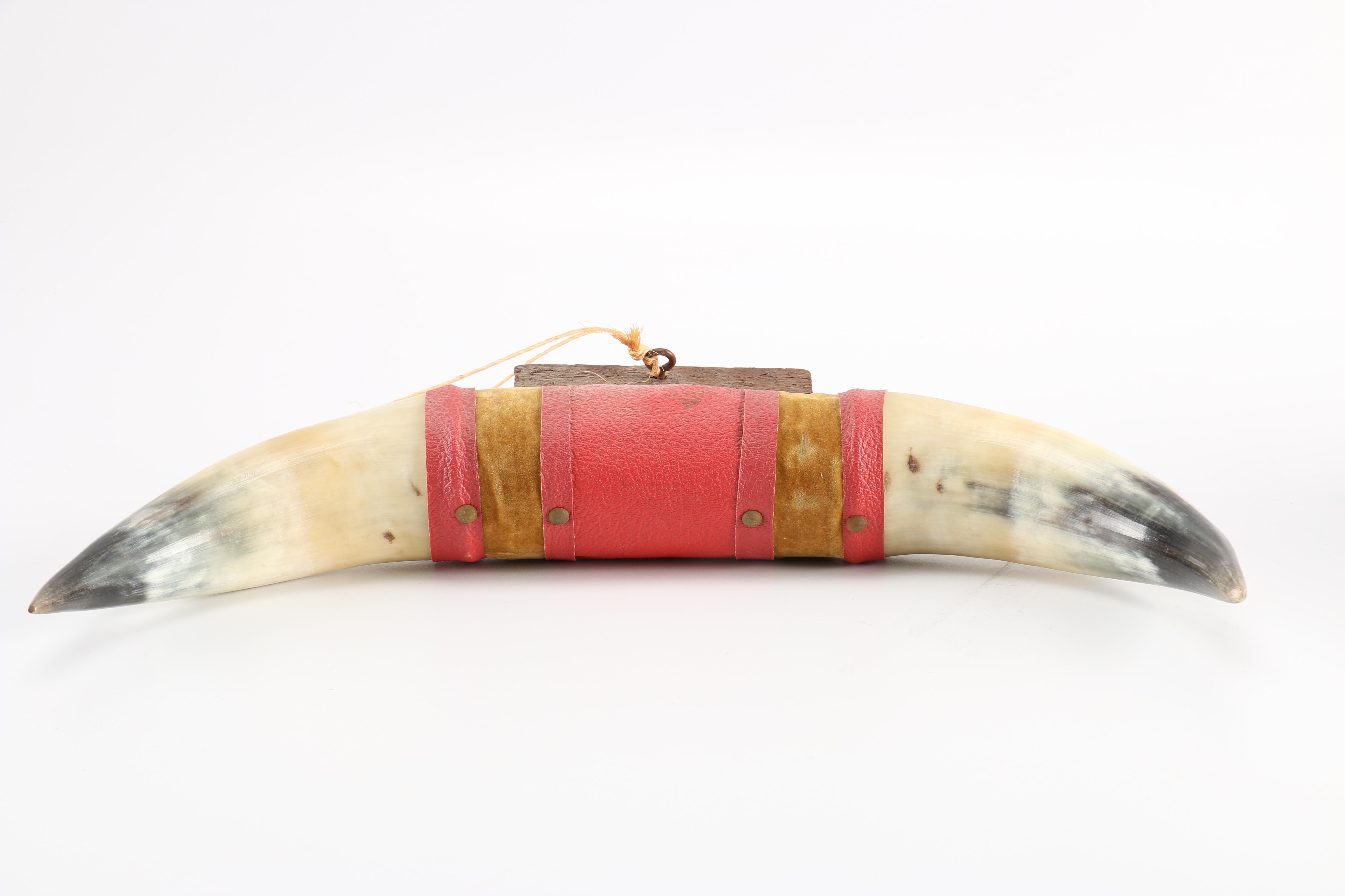 Vintage Collar Box and Bull Horns