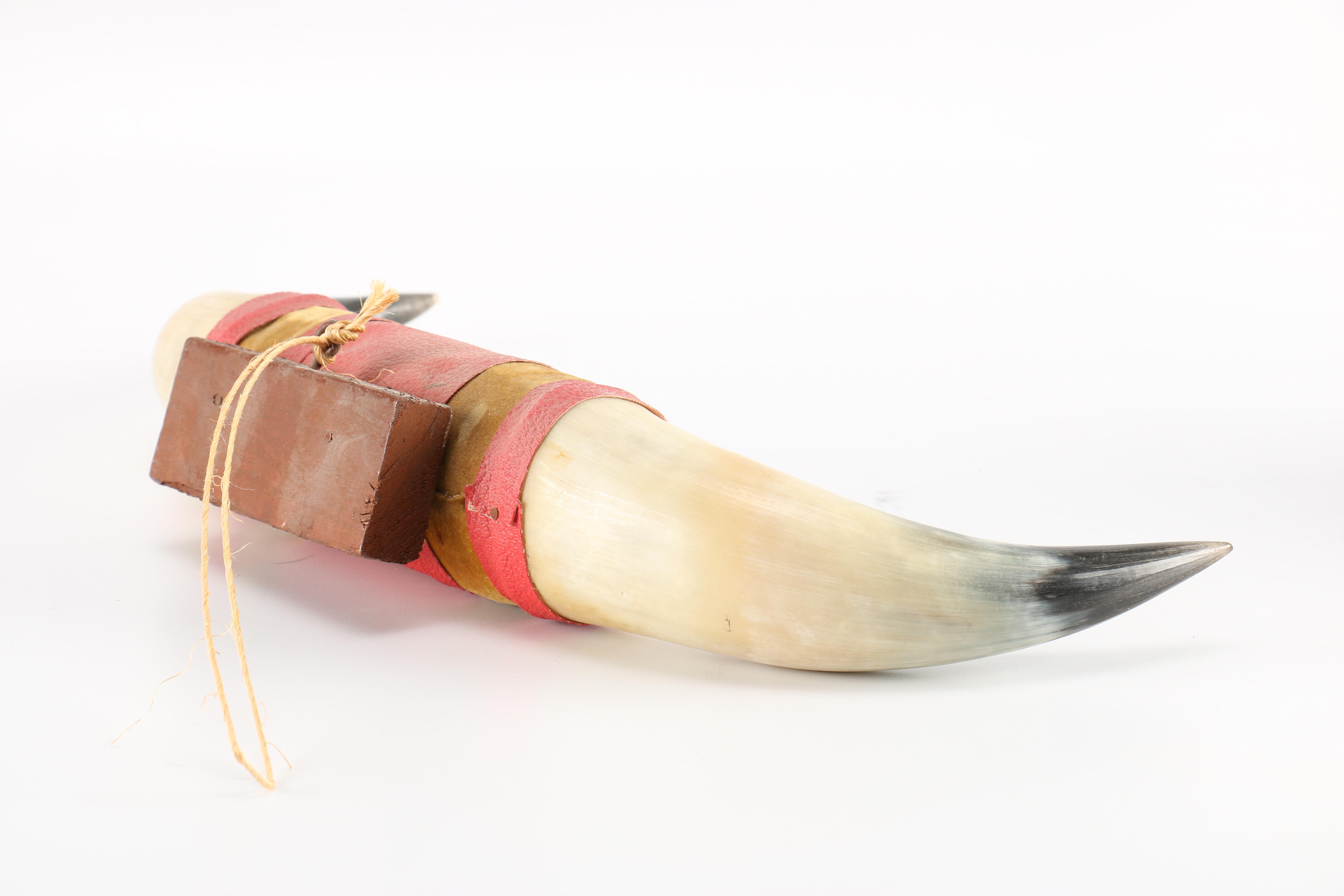 Vintage Collar Box and Bull Horns