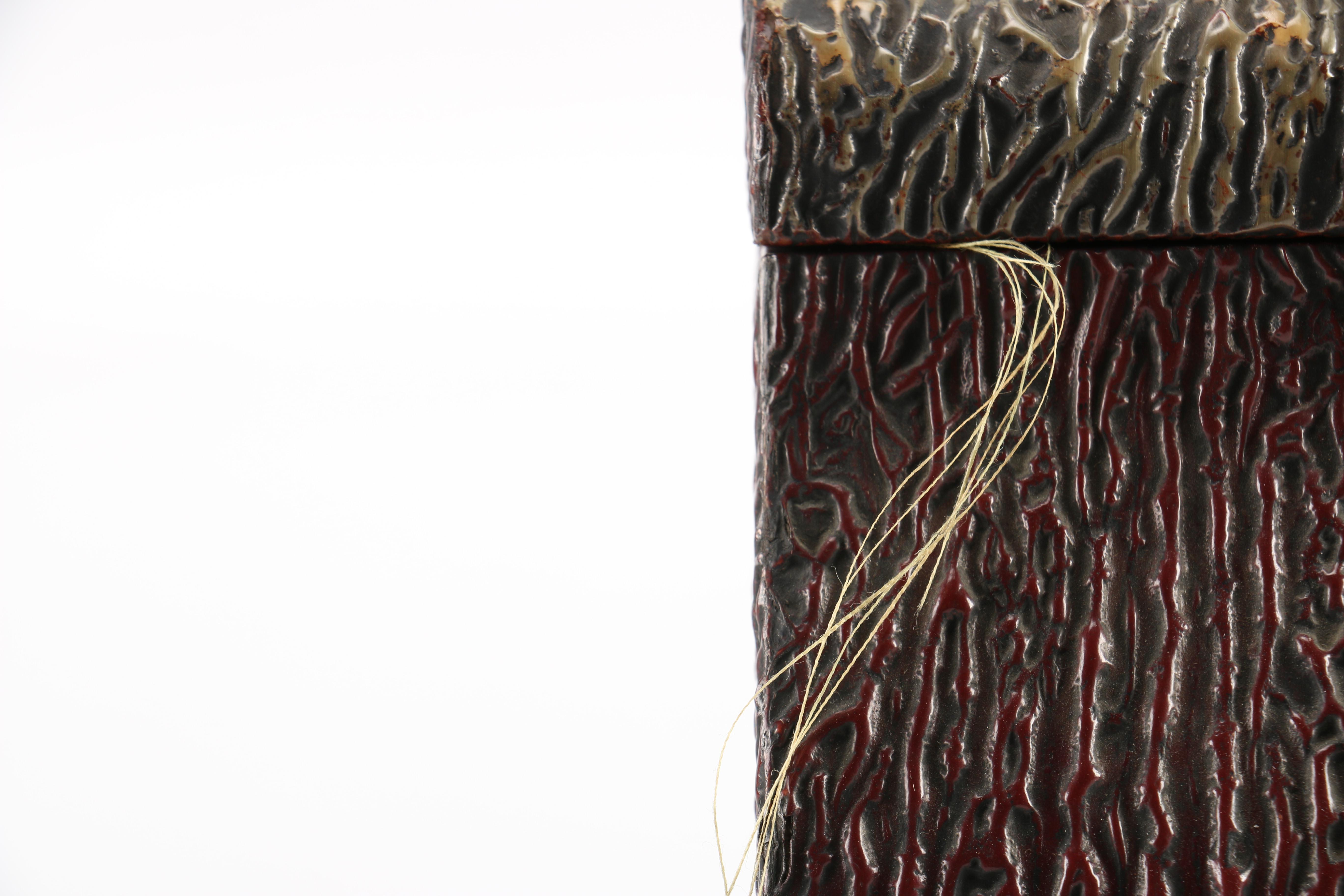 Vintage Collar Box and Bull Horns