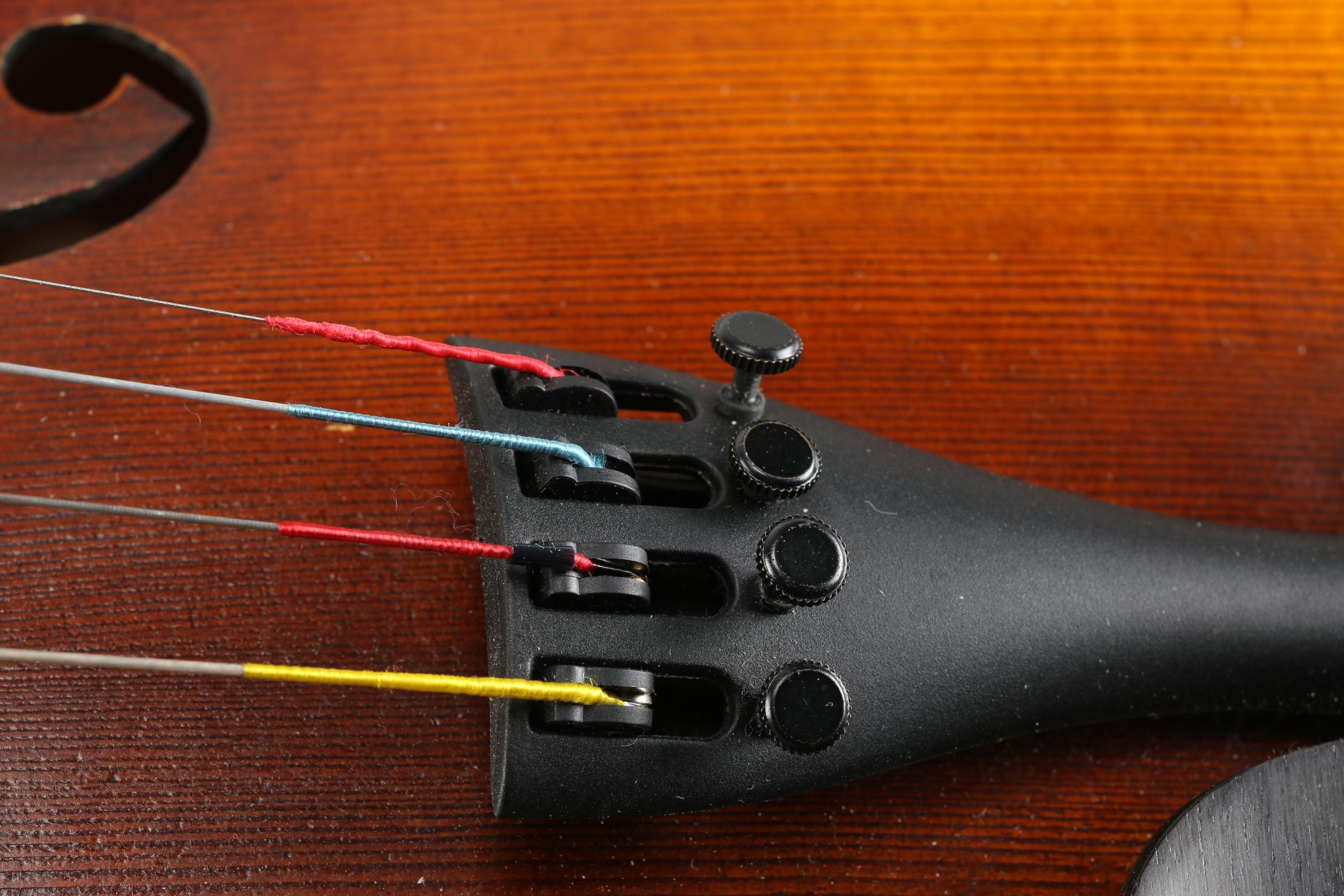 Conservatory Violin and Case