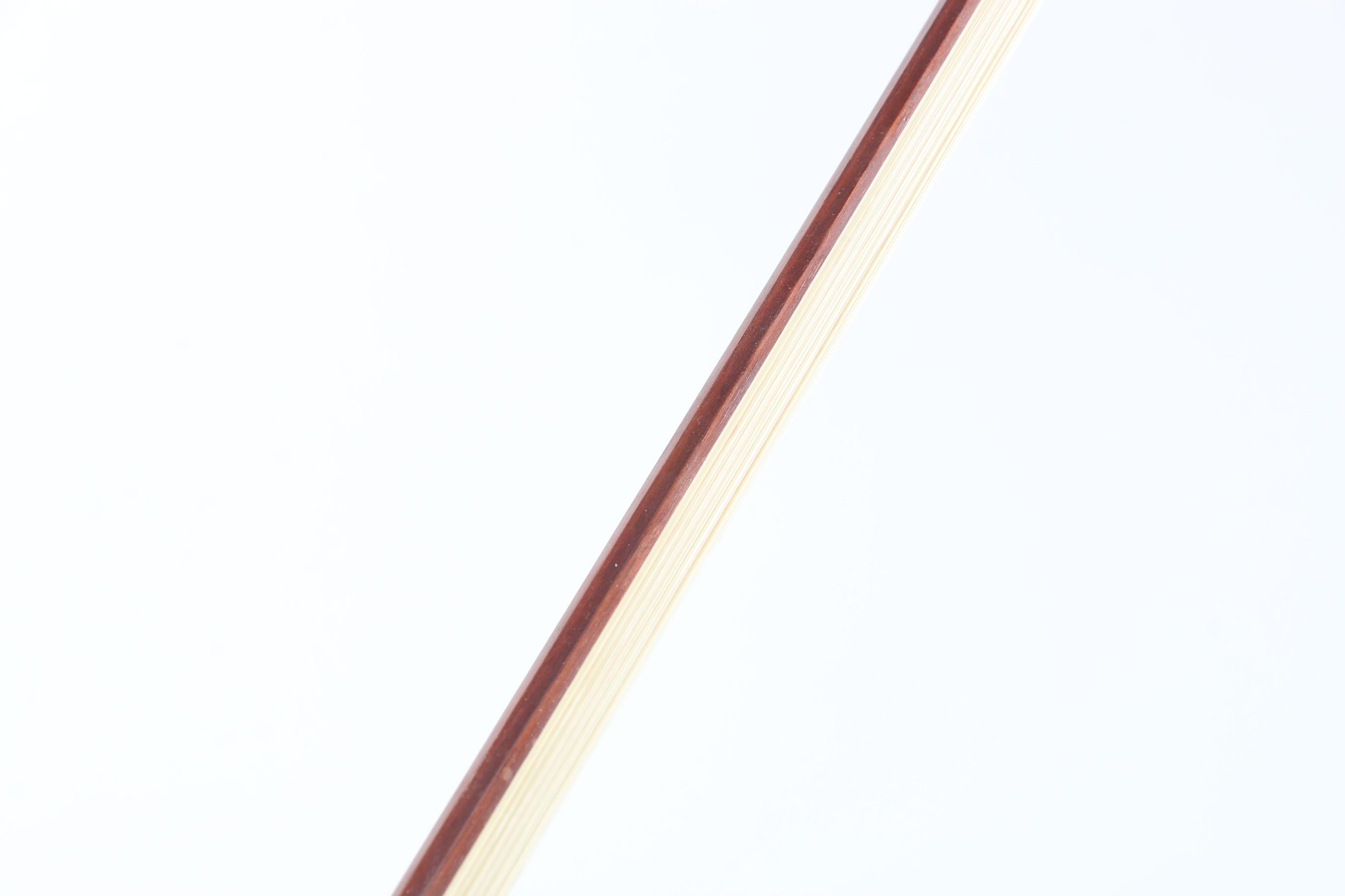 Conservatory Violin and Case