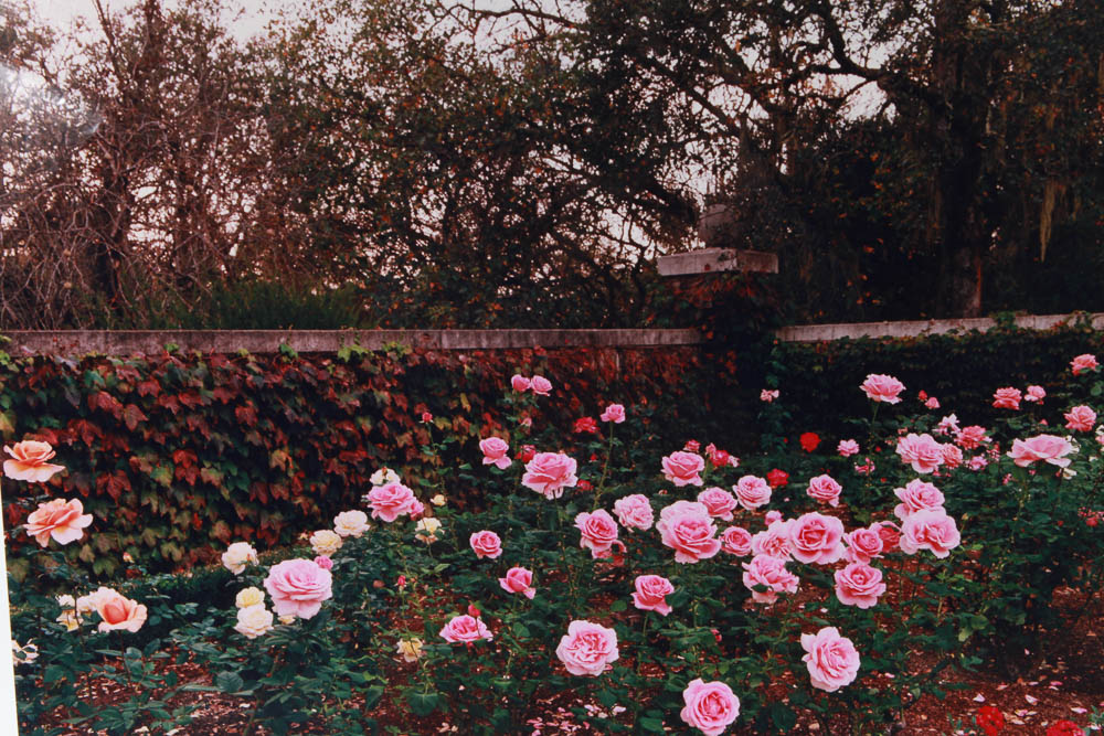 Set of Andy Katz Limited Editon Landscape Photographs