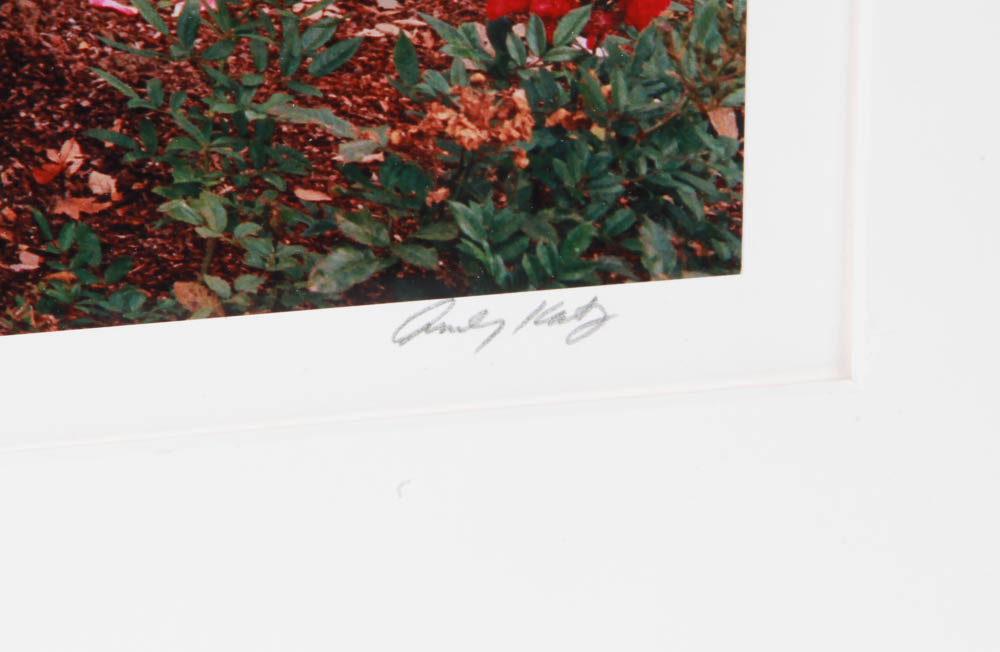 Set of Andy Katz Limited Editon Landscape Photographs