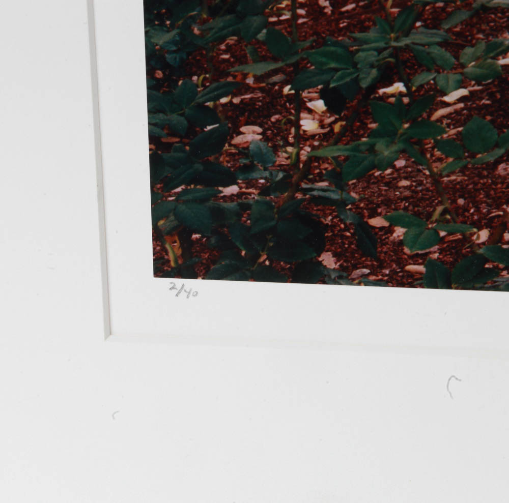 Set of Andy Katz Limited Editon Landscape Photographs