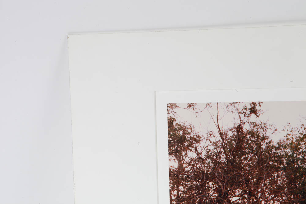 Set of Andy Katz Limited Editon Landscape Photographs