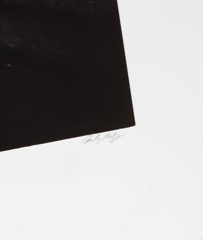 Set of Andy Katz Limited Editon Landscape Photographs