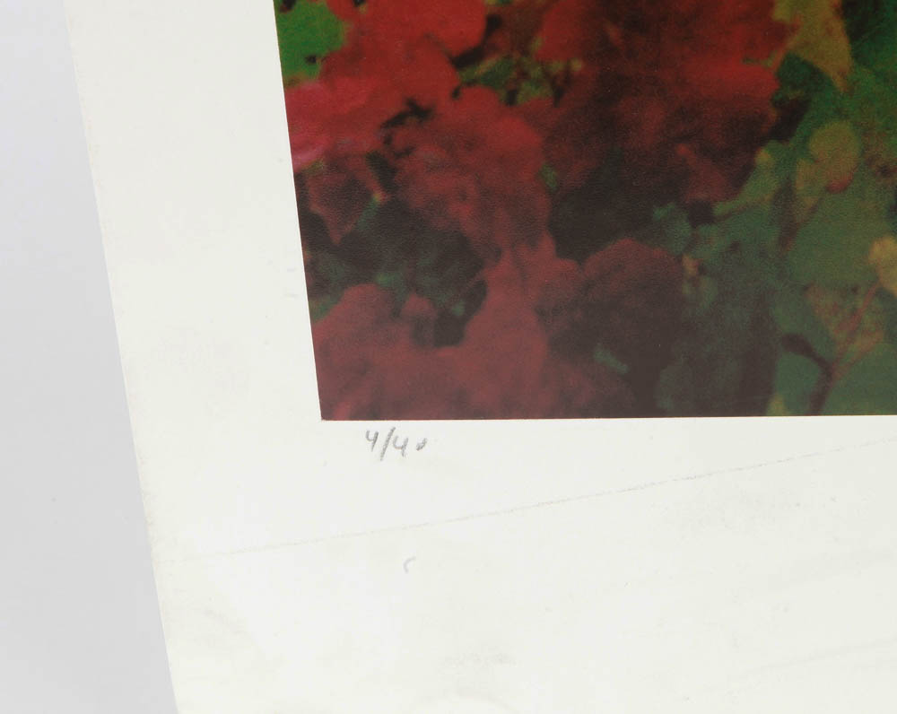 Set of Andy Katz Limited Editon Landscape Photographs