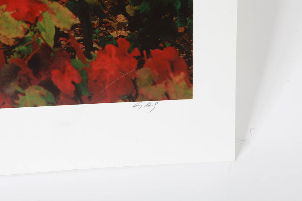 Set of Andy Katz Limited Editon Landscape Photographs