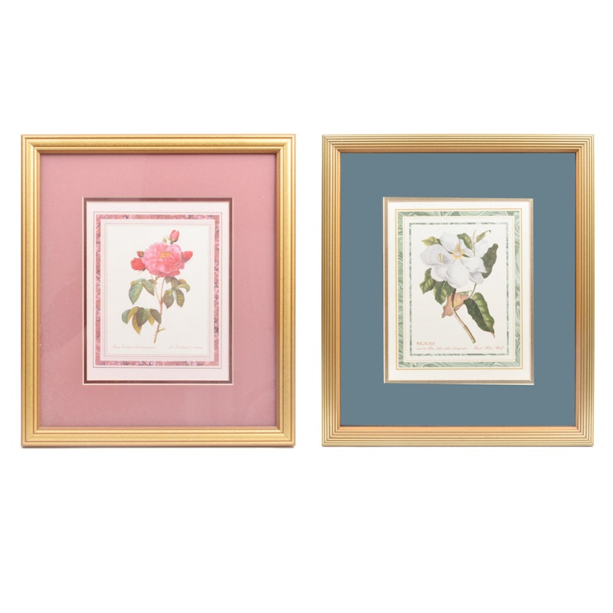 Pair of Offset Lithograph Botanical Prints