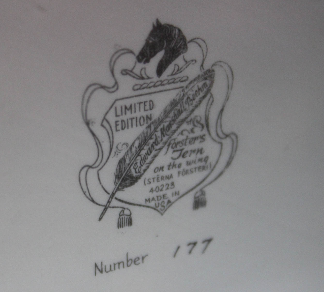 Boehm Limited Edition Porcelain Figurine "Forster's Tern On the Wing"