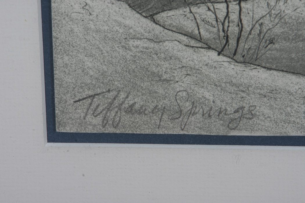 Signed Reproduction Print "Tiffany Springs"