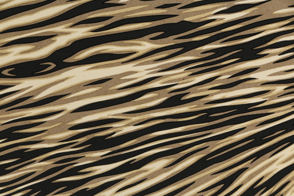 Shepard Fairey and Craig Stecyk III Limited Edition Serigraph "P. O. P Wave (Gold)"