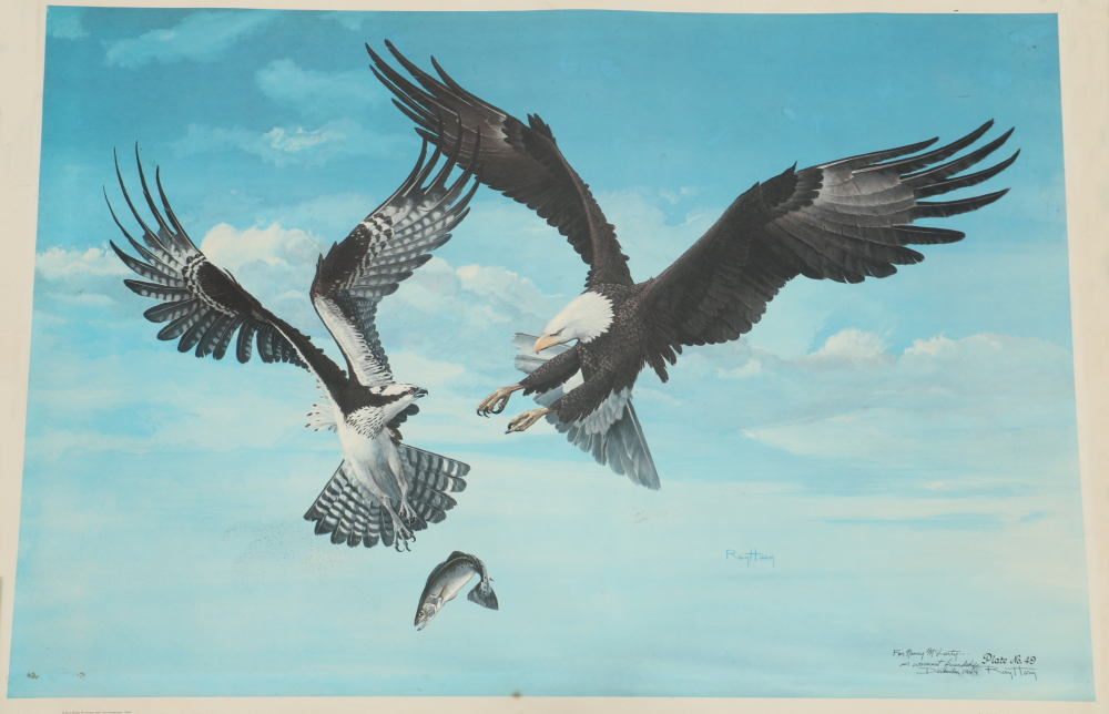 1964 Ray Harm Offset Lithograph of an Eagle and Osprey