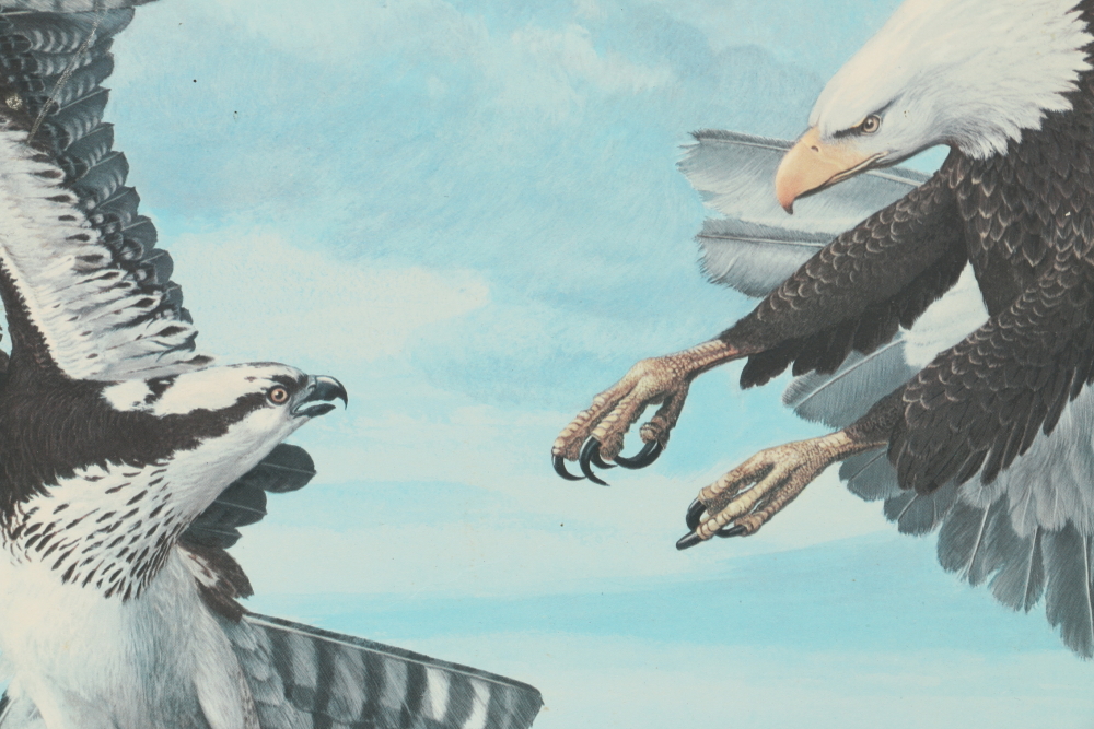 1964 Ray Harm Offset Lithograph of an Eagle and Osprey