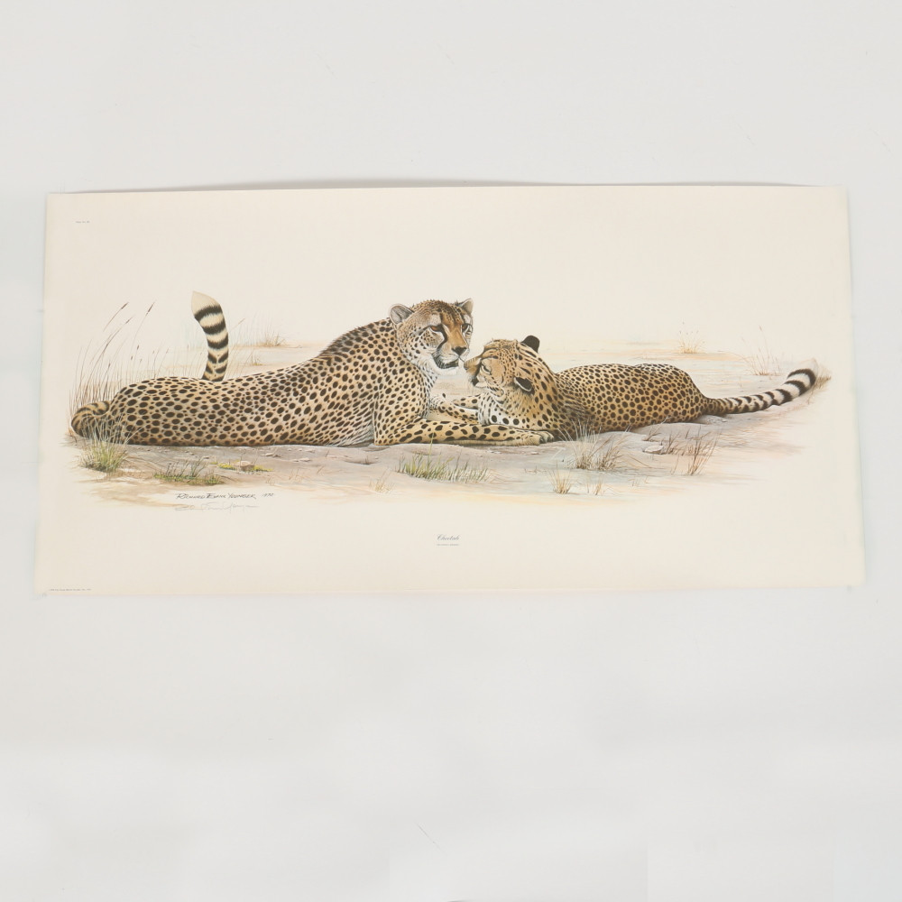 Richard Evans Younger Offset Lithograph "Cheetah"