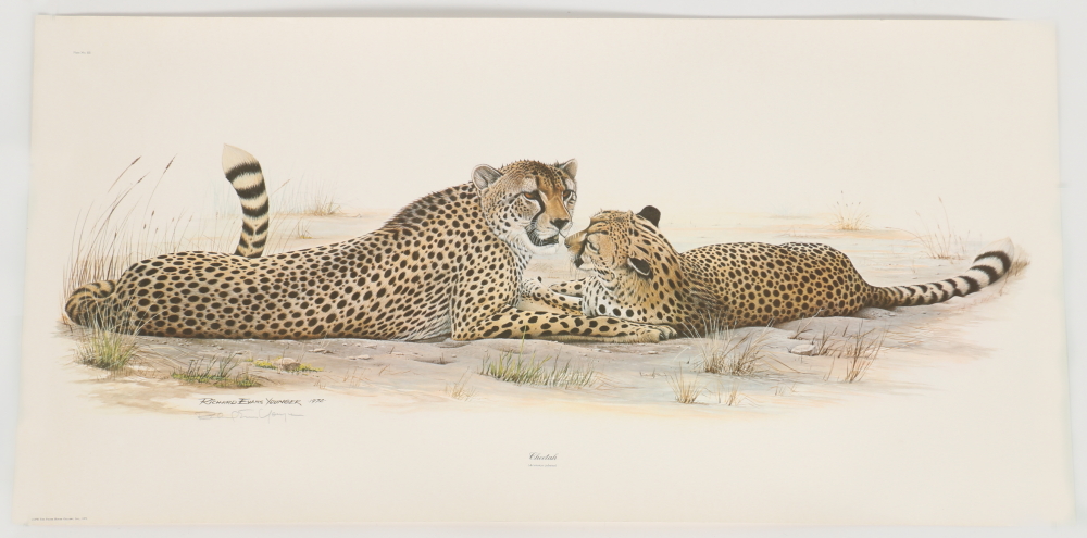 Richard Evans Younger Offset Lithograph "Cheetah"