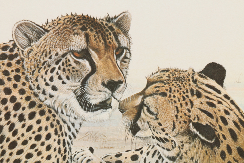 Richard Evans Younger Offset Lithograph "Cheetah"