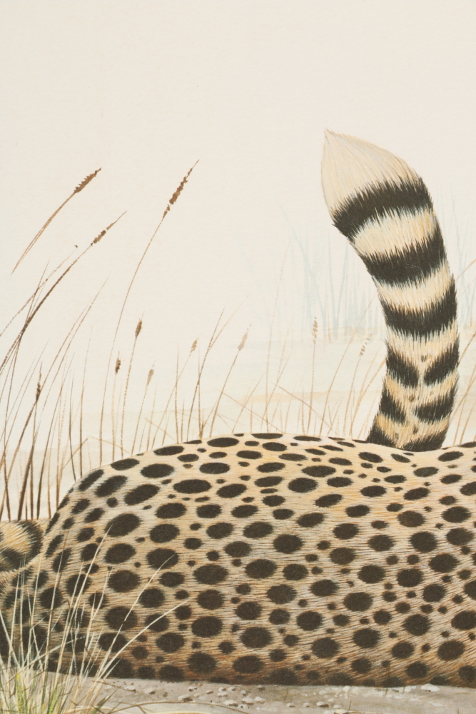 Richard Evans Younger Offset Lithograph "Cheetah"