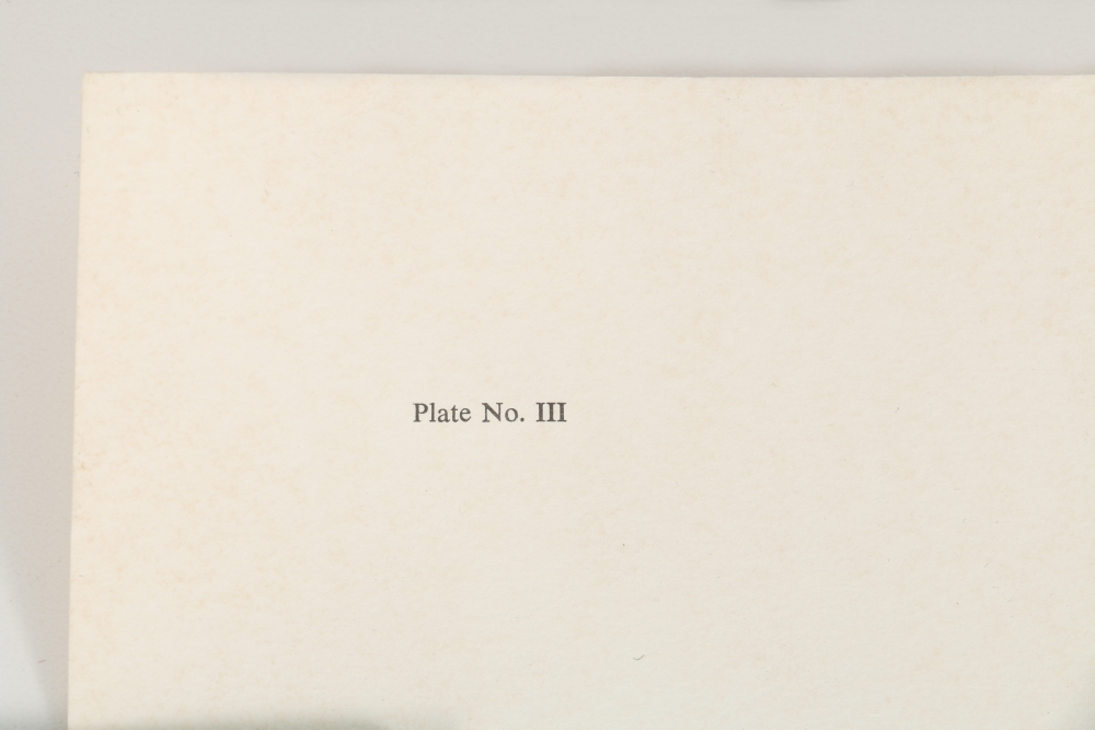 Richard Evans Younger Offset Lithograph "Cheetah"