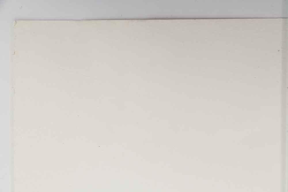 Richard Evans Younger Offset Lithograph "Cheetah"