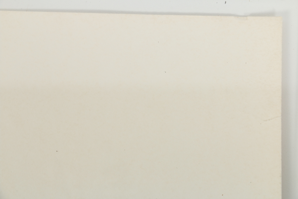 Richard Evans Younger Offset Lithograph "Cheetah"